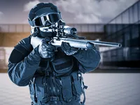 https://playallgames.online/game/special-forces-sniper