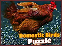 https://playallgames.online/game/domestic-birds-puzzle