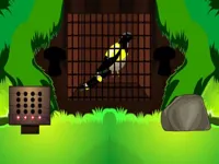 https://playallgames.online/game/black-bird-escape