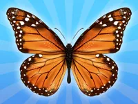 https://playallgames.online/game/mergebuterfly-2048
