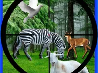 https://playallgames.online/game/real-jungle-animals-hunting