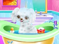 https://playallgames.online/game/my-new-poodle-friend