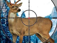 https://playallgames.online/game/stag-hunter