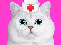https://playallgames.online/game/cat-pet-doctor-dentist