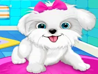 https://playallgames.online/game/puppy-pet-salon-amp-dog-daycare