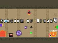 https://playallgames.online/game/kingdom-of-ninja-4