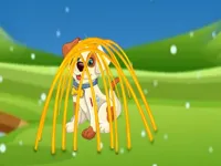 https://playallgames.online/game/rescue-the-doggy