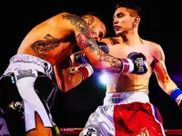 https://playallgames.online/game/boxing-champions-fight