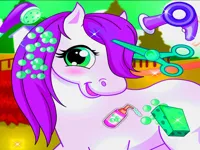 https://playallgames.online/game/horse-pet-salon