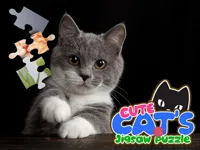 https://playallgames.online/game/cute-cats-jigsaw-puzzle