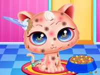 https://playallgames.online/game/cute-kitty-care-pet-makeover