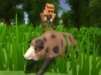 https://playallgames.online/game/pixel-hunting-io