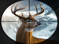 https://playallgames.online/game/hunter-3d