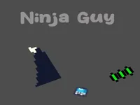 https://playallgames.online/game/ninja-guy