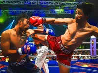 https://playallgames.online/game/muaythai-fighters-jigsaw