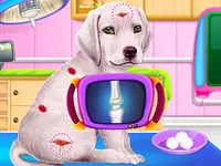https://playallgames.online/game/labrador-puppy-daycare-salon