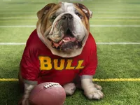 https://playallgames.online/game/funny-doggy-puzzle