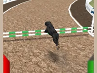 https://playallgames.online/game/crazy-real-dog-race