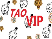 https://playallgames.online/game/taovip