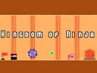 https://playallgames.online/game/kingdom-of-ninja
