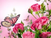 https://playallgames.online/game/butterflies-puzzle