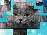 https://playallgames.online/game/picpu-cat-puzzle