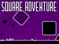 https://playallgames.online/game/square-adventure