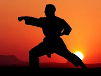 https://playallgames.online/game/karate-sunset-warriors