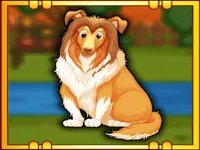 https://playallgames.online/game/bernese-mountain-dog-escape