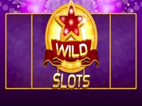 https://playallgames.online/game/wild-slot