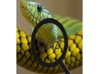https://playallgames.online/game/wildlife-animal-trivia-test-your-knowledge