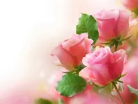 https://playallgames.online/game/pink-roses-puzzle