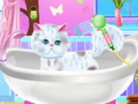 https://playallgames.online/game/excellent-pet-groomer