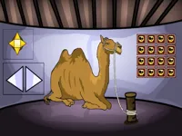 https://playallgames.online/game/camel-escape