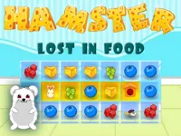 https://playallgames.online/game/hamster-lost-in-food