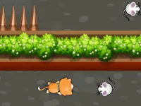 https://playallgames.online/game/cat-trap-labyrinth-escape