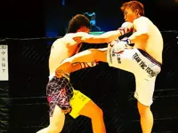 https://playallgames.online/game/ufc-fighting-match-jigsaw