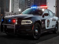 https://playallgames.online/game/police-cars-slide