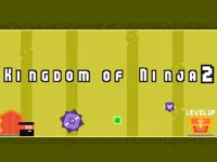 https://playallgames.online/game/kingdom-of-ninja-2