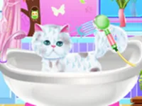 https://playallgames.online/game/pet-groomer