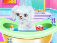 https://playallgames.online/game/my-new-poodle-friend-pet-care-game