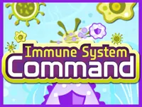 https://playallgames.online/game/immune-system-command