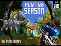 https://playallgames.online/game/hunting-season