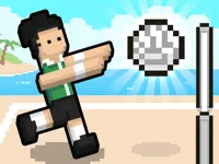 https://playallgames.online/game/volley-random