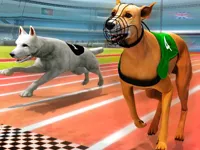 https://playallgames.online/game/dogs3d-races
