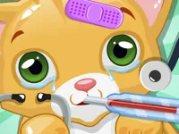 https://playallgames.online/game/little-cat-doctor