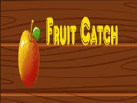 https://playallgames.online/game/fruit-catch