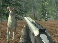 https://playallgames.online/game/crazy-goat-hunter