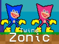 https://playallgames.online/game/twins-zonic