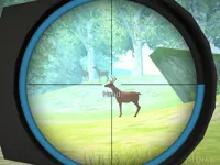 https://playallgames.online/game/hunter